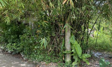 For Sale Formerly Successful AirBnb Triangle Villa Type Resort Business Siargao