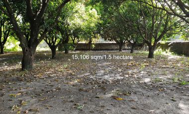 Lots for Sale in Mabalacat City, Pampanga!