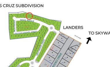 Residential Lot for sale in Almanza Dos, Las Pinas City