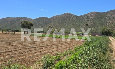 RANCHO TERRENO EN VENTA EN SANTO TOMÁS, ENSENADA, BAJA CALIFORNIA - (3)