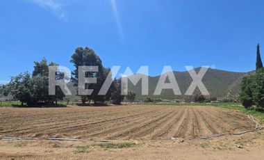 RANCHO TERRENO EN VENTA EN SANTO TOMÁS, ENSENADA, BAJA CALIFORNIA - (3)