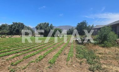 RANCHO TERRENO EN VENTA EN SANTO TOMÁS, ENSENADA, BAJA CALIFORNIA - (3)