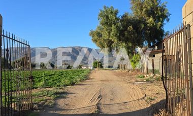 RANCHO TERRENO EN VENTA EN SANTO TOMÁS, ENSENADA, BAJA CALIFORNIA - (3)