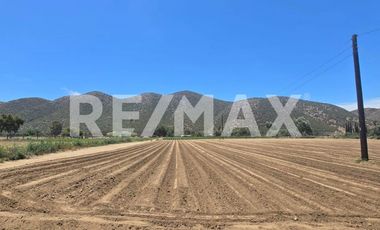 RANCHO TERRENO EN VENTA EN SANTO TOMÁS, ENSENADA, BAJA CALIFORNIA - (3)