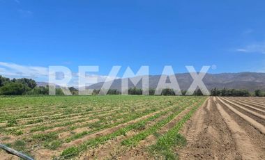 RANCHO TERRENO EN VENTA EN SANTO TOMÁS, ENSENADA, BAJA CALIFORNIA - (3)