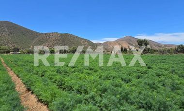 RANCHO TERRENO EN VENTA EN SANTO TOMÁS, ENSENADA, BAJA CALIFORNIA - (3)