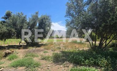 RANCHO TERRENO EN VENTA EN SANTO TOMÁS, ENSENADA, BAJA CALIFORNIA - (3)