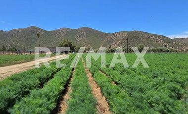 RANCHO TERRENO EN VENTA EN SANTO TOMÁS, ENSENADA, BAJA CALIFORNIA - (3)