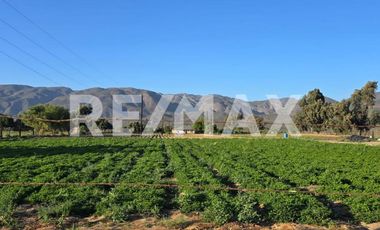 RANCHO TERRENO EN VENTA EN SANTO TOMÁS, ENSENADA, BAJA CALIFORNIA - (3)