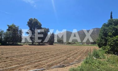 RANCHO TERRENO EN VENTA EN SANTO TOMÁS, ENSENADA, BAJA CALIFORNIA - (3)