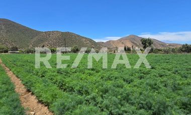 RANCHO TERRENO EN VENTA EN SANTO TOMÁS, ENSENADA, BAJA CALIFORNIA - (3)