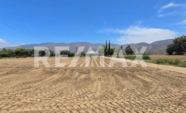 RANCHO TERRENO EN VENTA EN SANTO TOMÁS, ENSENADA, BAJA CALIFORNIA - (3)