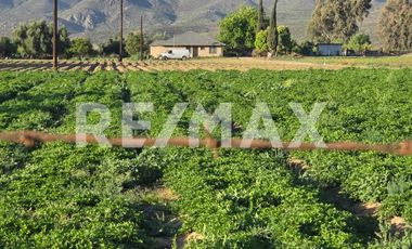 RANCHO TERRENO EN VENTA EN SANTO TOMÁS, ENSENADA, BAJA CALIFORNIA - (3)