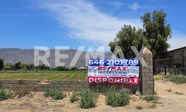 RANCHO TERRENO EN VENTA EN SANTO TOMÁS, ENSENADA, BAJA CALIFORNIA - (3)