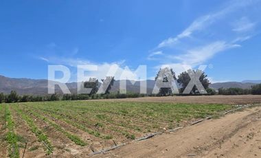 RANCHO TERRENO EN VENTA EN SANTO TOMÁS, ENSENADA, BAJA CALIFORNIA - (3)