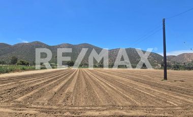 RANCHO TERRENO EN VENTA EN SANTO TOMÁS, ENSENADA, BAJA CALIFORNIA - (3)