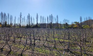 Agrícola en Venta en VILLA ALEGRE