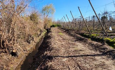 Agrícola en Venta en VILLA ALEGRE