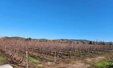Agrícola en Venta en VILLA ALEGRE