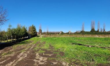 Agrícola en Venta en VILLA ALEGRE