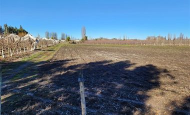 Agrícola en Venta en VILLA ALEGRE