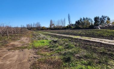 Agrícola en Venta en VILLA ALEGRE