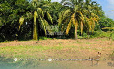 Oportunidad con Financiamiento: Terreno Sustentable en el Tomatal