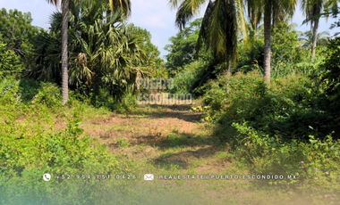 Oportunidad con Financiamiento: Terreno Sustentable en el Tomatal