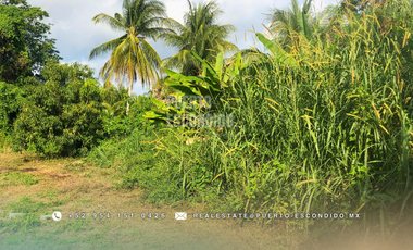 Oportunidad con Financiamiento: Terreno Sustentable en el Tomatal