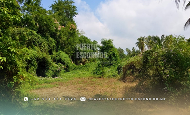 Oportunidad con Financiamiento: Terreno Sustentable en el Tomatal