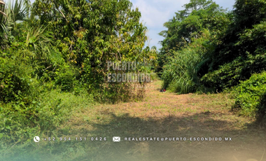 Oportunidad con Financiamiento: Terreno Sustentable en el Tomatal