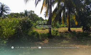 Oportunidad con Financiamiento: Terreno Sustentable en el Tomatal