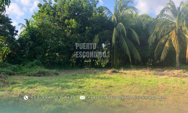 Oportunidad con Financiamiento: Terreno Sustentable en el Tomatal