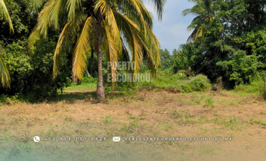 Oportunidad con Financiamiento: Terreno Sustentable en el Tomatal