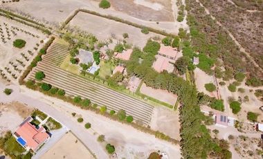 TERRENO HANNOVERIANO, EN VENTA EN SAN MIGUEL DE ALLENDE / RANCHO LA LOMA