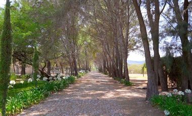 TERRENO HANNOVERIANO, EN VENTA EN SAN MIGUEL DE ALLENDE / RANCHO LA LOMA