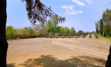 TERRENO HANNOVERIANO, EN VENTA EN SAN MIGUEL DE ALLENDE / RANCHO LA LOMA