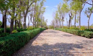 TERRENO HANNOVERIANO, EN VENTA EN SAN MIGUEL DE ALLENDE / RANCHO LA LOMA