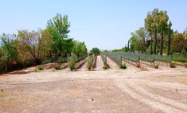 TERRENO HANNOVERIANO, EN VENTA EN SAN MIGUEL DE ALLENDE / RANCHO LA LOMA