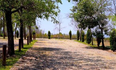 TERRENO HANNOVERIANO, EN VENTA EN SAN MIGUEL DE ALLENDE / RANCHO LA LOMA