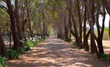 TERRENO HANNOVERIANO, EN VENTA EN SAN MIGUEL DE ALLENDE / RANCHO LA LOMA