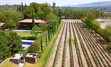 TERRENO HANNOVERIANO, EN VENTA EN SAN MIGUEL DE ALLENDE / RANCHO LA LOMA