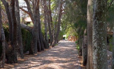 TERRENO HANNOVERIANO, EN VENTA EN SAN MIGUEL DE ALLENDE / RANCHO LA LOMA