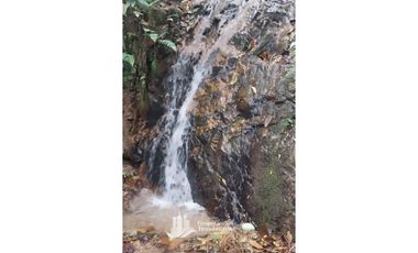 Vendo Finca en Boquete ideal para Cafe o Turismo