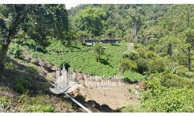Vendo Finca en Boquete ideal para Cafe o Turismo