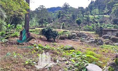 Vendo Finca en Boquete ideal para Cafe o Turismo