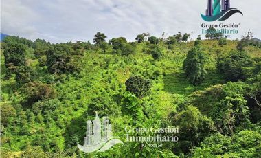 Vendo Finca en Boquete ideal para Cafe o Turismo