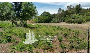 Vendo Finca en Boquete ideal para Cafe o Turismo