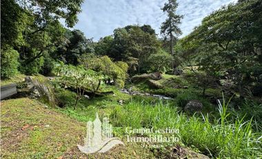 Vendo Finca en Boquete ideal para Cafe o Turismo