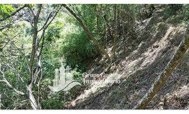 Vendo Finca en Boquete ideal para Cafe o Turismo